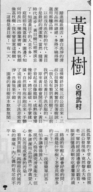 在「台灣時報」發表的《黃目樹》 一文。( 民國85 年九月六日)